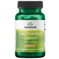 Lactobacillus Gasseri